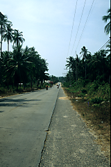 Die Straße von »Bo Phut« nach »Chaweng«